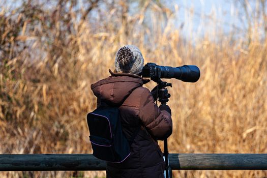 Bird photographer take photos with a camera and telephoto, Laguna di Marano