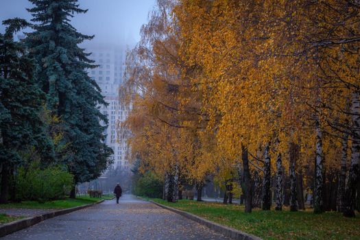 Rain in Moscow, woman walking with one umbrella on city street near red square at autumn, Russia