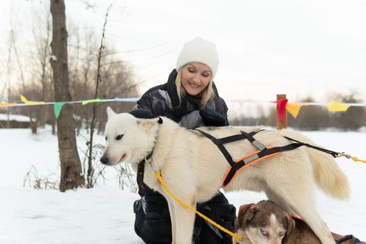 dog outdoor winter season snow animal park pet young person adult woman girl husky friendship