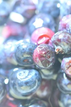 Blueberries, background of berries, top view. Defocused blueberry background. Texture of bilberries, flat design. Vertical macro image.