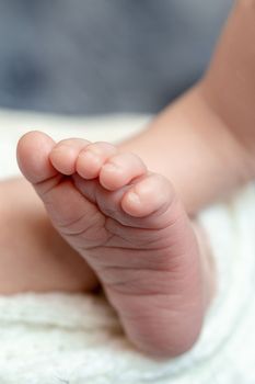 Close-up of small baby legs. The sleeping Newborn boy under a white knitted blanket lies on the blue fur. Newborn. 14 days.