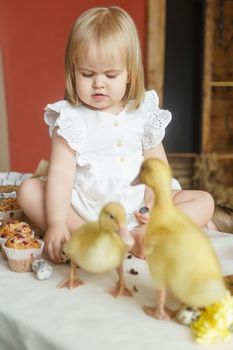 A little girl is sitting on the Easter table and playing with cute fluffy ducklings. The concept of celebrating happy Easter