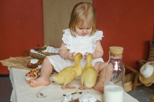 A little girl is sitting on the Easter table and playing with cute fluffy ducklings. The concept of celebrating happy Easter