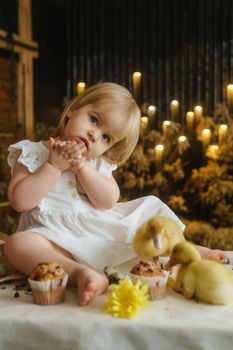 A little girl is sitting on the Easter table and playing with cute fluffy ducklings. The concept of celebrating happy Easter