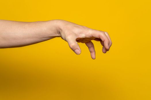 A male hand, holding something or catching or scratching or frightening or showing a zombie etc., isolated on yellow background