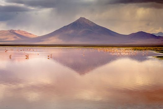 Laguna colorada, Red lake, with Andean Flamingos and Idyllic Altiplano Atacama Desert, Volcanic landscape, Potosi, Bolivian Andes, Bolivia