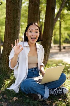 Portrait of asian young woman, student doing homework, working in park, sitting beside tree with laptop and showing okay sign, approve smth.