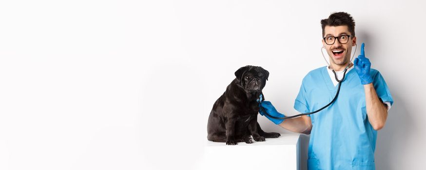 Excited male doctor veterinarian having an idea while examining cute pug dog with stethoscope, raising finger in eureka sign, white background.