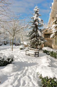 Sunny winter day in residential area of Coquitlam, British Columbia, Canada.