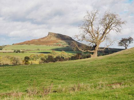 View across to Roseberry Topping, Yorkshires Matterhorn, on the walk up to Captain Cooks Monument, North York Moors National Park, UK