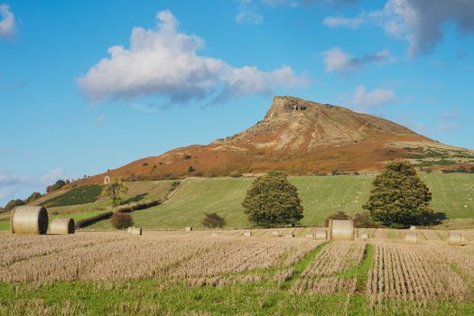 View up to the summit of Roseberry Topping, Yorkshires Matterhorn, over field of round hay bales, North York Moors National Park, UK