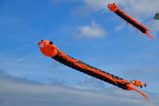 Kite flying caterpillar flying against the sky on the beach of Atlantic ocean