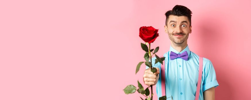 Valentines day and romance concept. Funny guy with moustache giving red rose and smiling, making romantic gesture on date, standing over pink background.