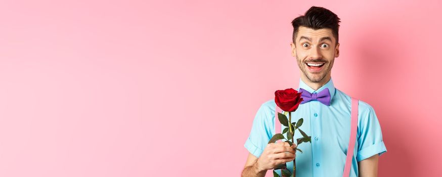 Excited bearded man with moustache and bow-tie waiting for date with red rose, having romantic moment on Valentines day, standing on pink background.