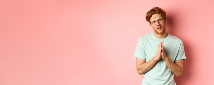 Redhead bearded guy begging for favour, holding hands in namaste gesture and asking for help, need something, standing over pink background.