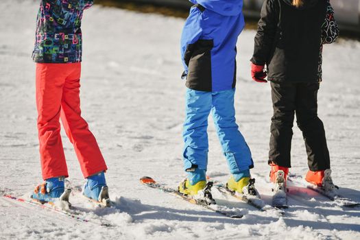 Children in ski suits go skiing