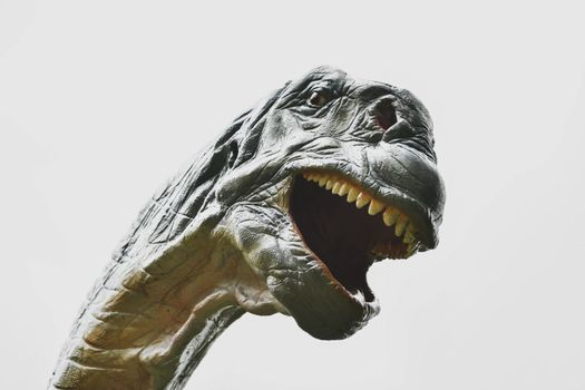 Camarasaurus Dinosaur on white background