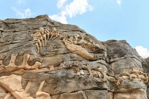 Bones and body of a dinosaur excavated on a rock