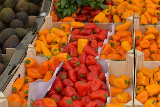 Organic Red and yellow peppers on the fmarket
