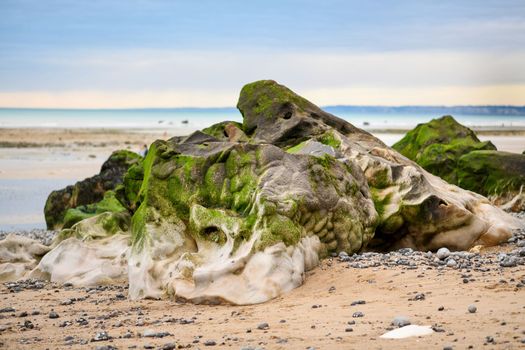 Stone with moss after the low tide of the ocean
