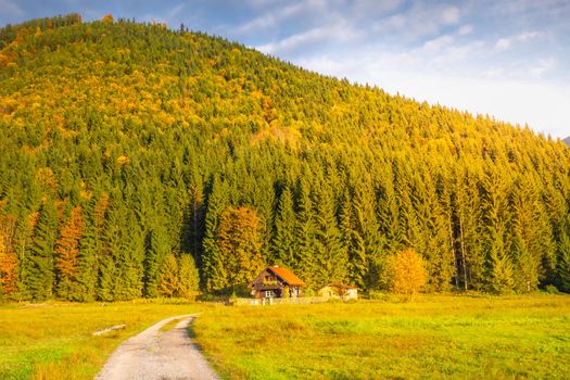 Road in Idyllic Karwendel alps at autumn, tyrol and bavarian alps border, Austria