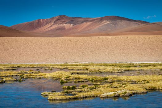 Salt lake reflection and idyllic volcanic landscape at Sunset, Atacama desert, Chile border with Bolivia