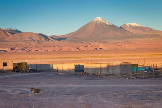 Licancabur and Peaceful dramatic volcanic landscape at Sunset, Atacama Desert, Chile