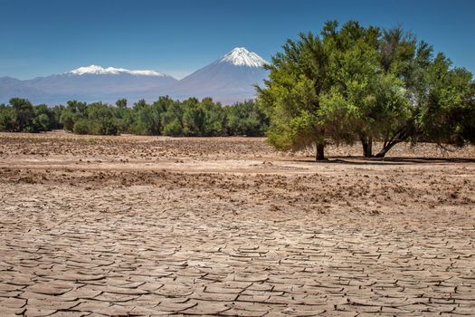 Licancabur and Peaceful dramatic volcanic landscape at Sunset, Atacama Desert, Chile