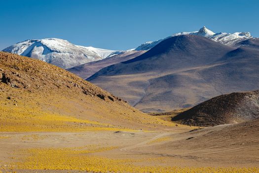 Dirt Road in Peaceful Moon Valley dramatic landscape at Sunset, Atacama Desert, Chile
