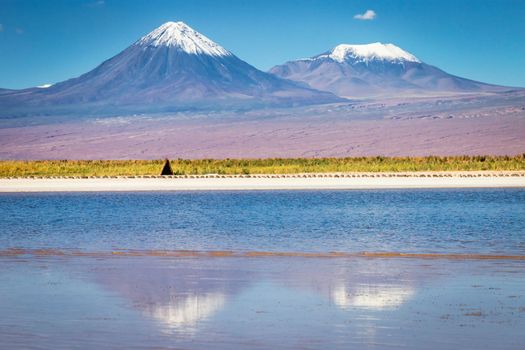 Licancabur and Peaceful reflection lake with dramatic volcanic landscape at Sunset, Atacama Desert, Chile