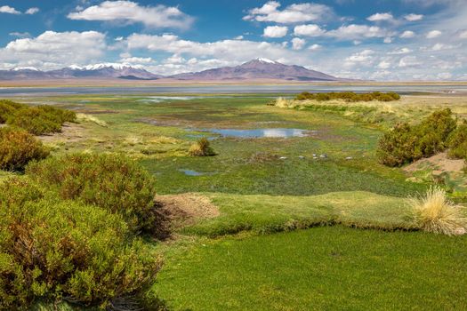 Salt lake reflection and idyllic volcanic landscape at sunrise, Atacama desert, Chile border with Bolivia