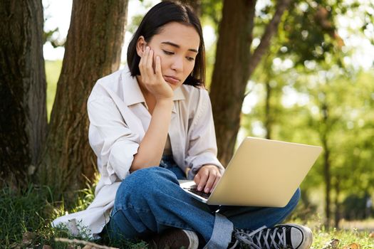 Portrait of asian woman sitting on grass near tree, using laptop, working, doing homework remotely on sunny summer day.