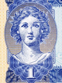 Girl's portrait according to historical engraving from money