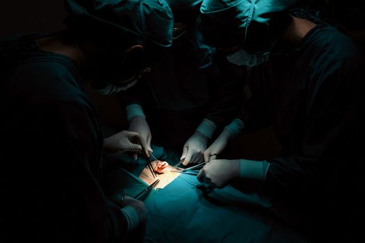 Surgical team performing surgery to patient in sterile operating room. In a surgery room lit by a lamp, a professional and confident surgical team provides medical care to an unconscious patient.