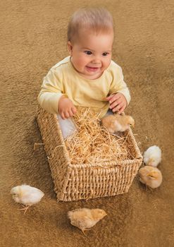 Little baby sits in a square wicker basket with little chickens.