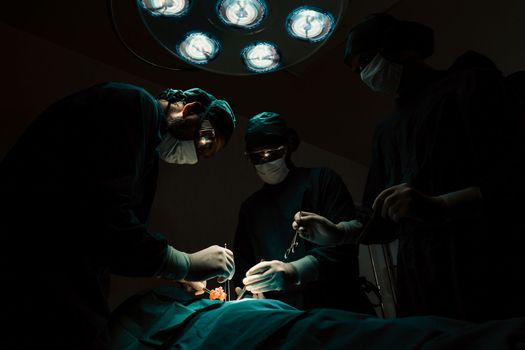 Surgical team performing surgery to patient in sterile operating room. In a surgery room lit by a lamp, a professional and confident surgical team provides medical care to an unconscious patient.