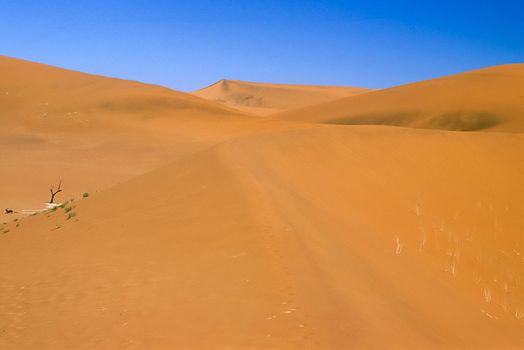Africa, Namibia, Hardap, Namib Naukluft Park, Deadvlei