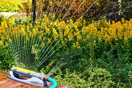 the supply of water to land or crops to help growth, typically by means of channels. Irrigation system, sprinkler watering flowers on a hot day in a city park.