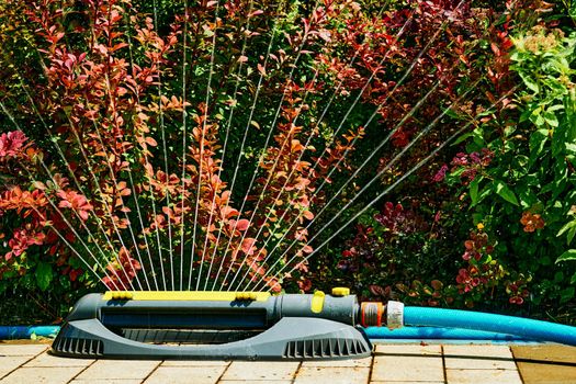 the supply of water to land or crops to help growth, typically by means of channels. Irrigation system, sprinkler watering flowers on a hot day in a city park.