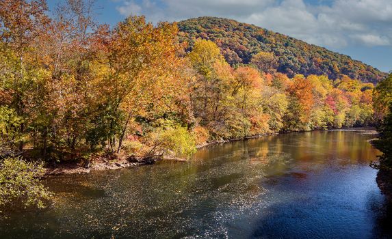 View of Autumn Colors by a River and Mountain Side on a Sunny Day