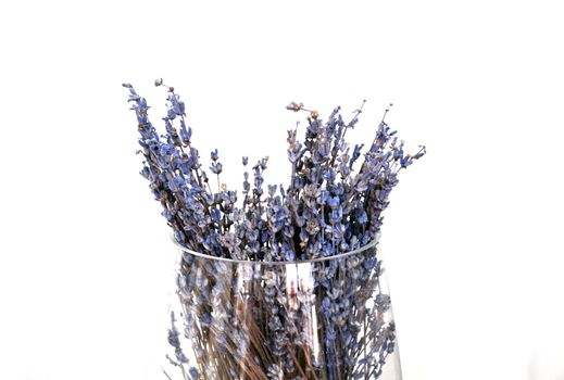 Bouquet of dried lavender. The photo shows a bouquet of dried lavender in a glass vase on a white background.
