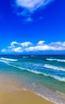 Tropical caribbean beach landscape panorama with clear turquoise blue water in Playa del Carmen Mexico.