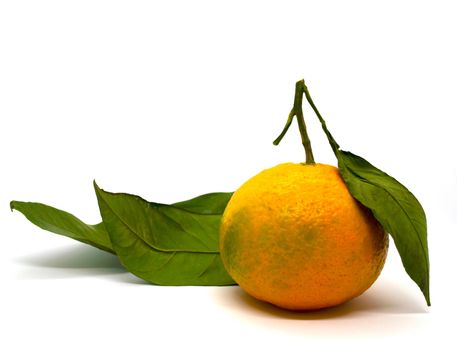 Tangerine and tangerine leaves. Tangerine with leaves on a white background, close-up.