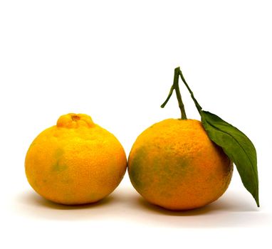 Tangerines. Tangerines with leaves, tangerine without leaves on a white background, close-up.