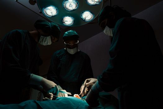 Surgical team performing surgery to patient in sterile operating room. In a surgery room lit by a lamp, a professional and confident surgical team provides medical care to an unconscious patient.