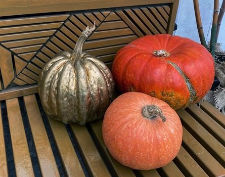 Pumpkins. Close-up photo of pumpkins on a wooden bench.