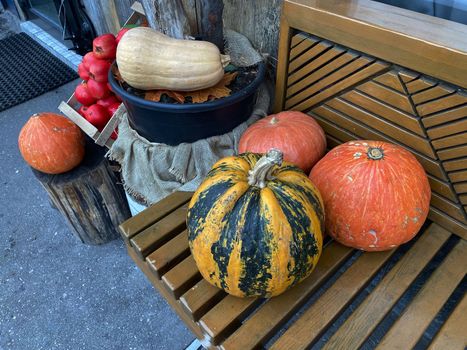 Pumpkins. Close-up photo of pumpkins on a wooden bench.