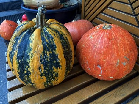 Pumpkins. Close-up photo of pumpkins on a wooden bench.