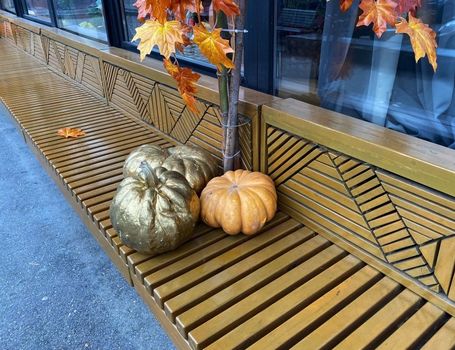 Pumpkins. Close-up photo of pumpkins on a wooden bench.