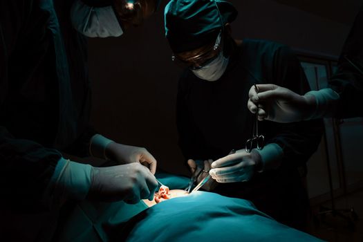 Surgical team performing surgery to patient in sterile operating room. In a surgery room lit by a lamp, a professional and confident surgical team provides medical care to an unconscious patient.